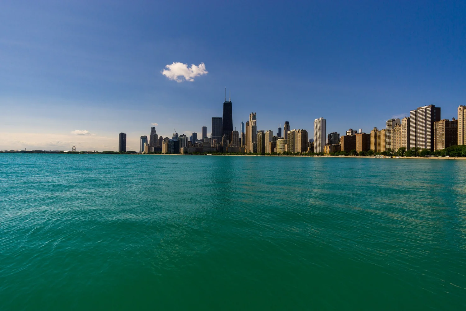Chicago Environmentalists
