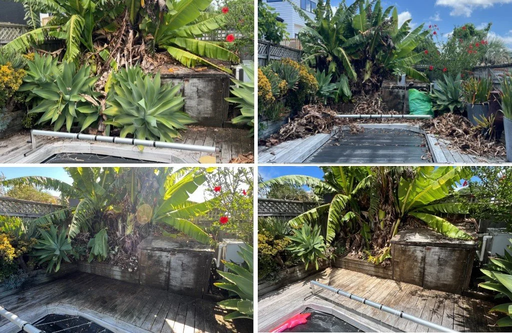 End of Pool - Before During and After.jpg