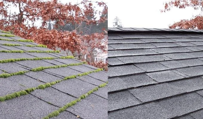 roof-3.jpg