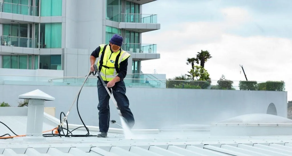Roof-Cleaning-1-1024x548.jpg