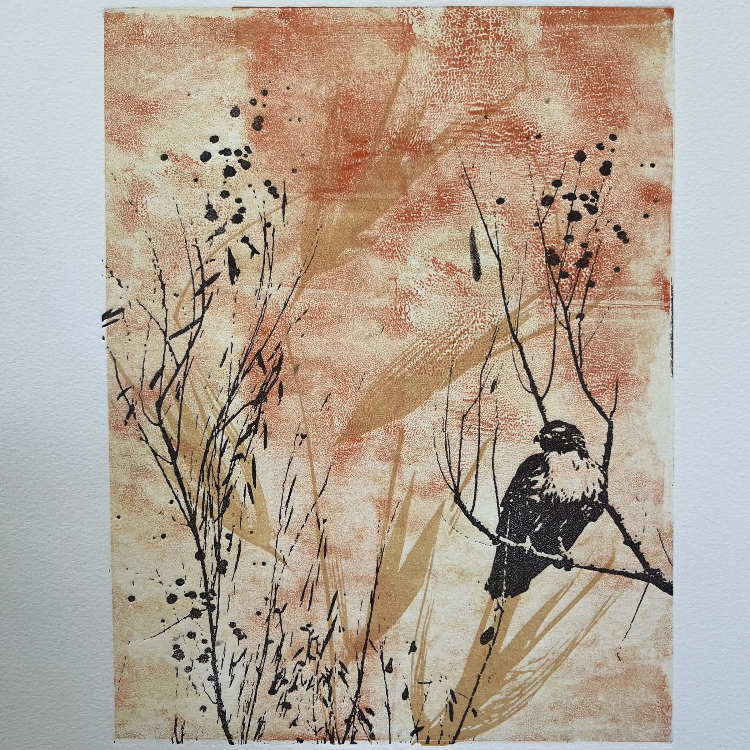 Sally Thomson