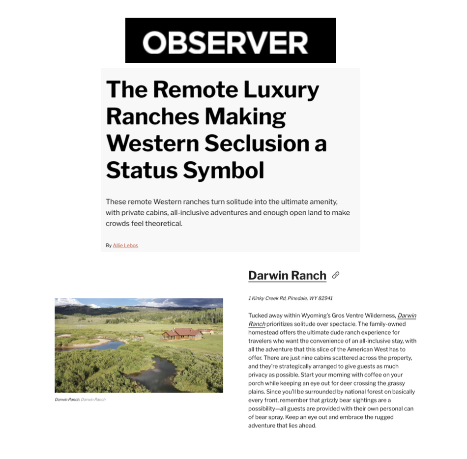 Observer (August 2026)