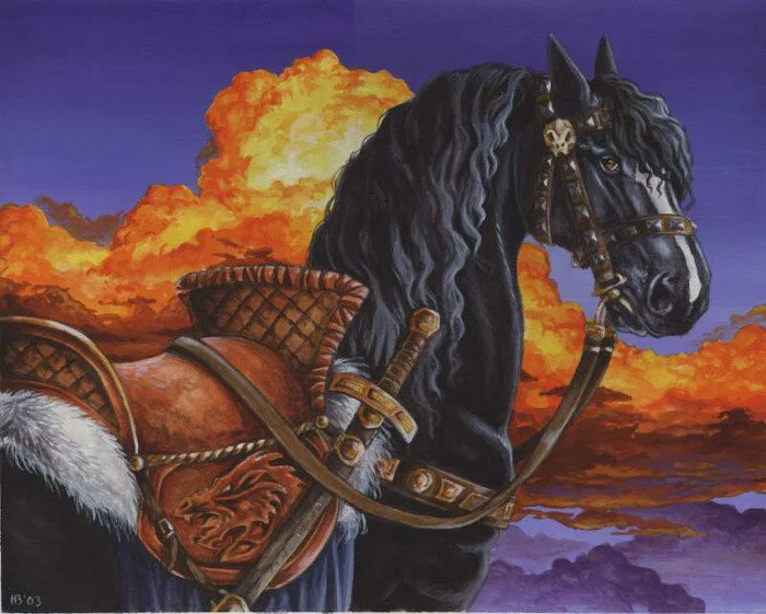 Fine Saddle