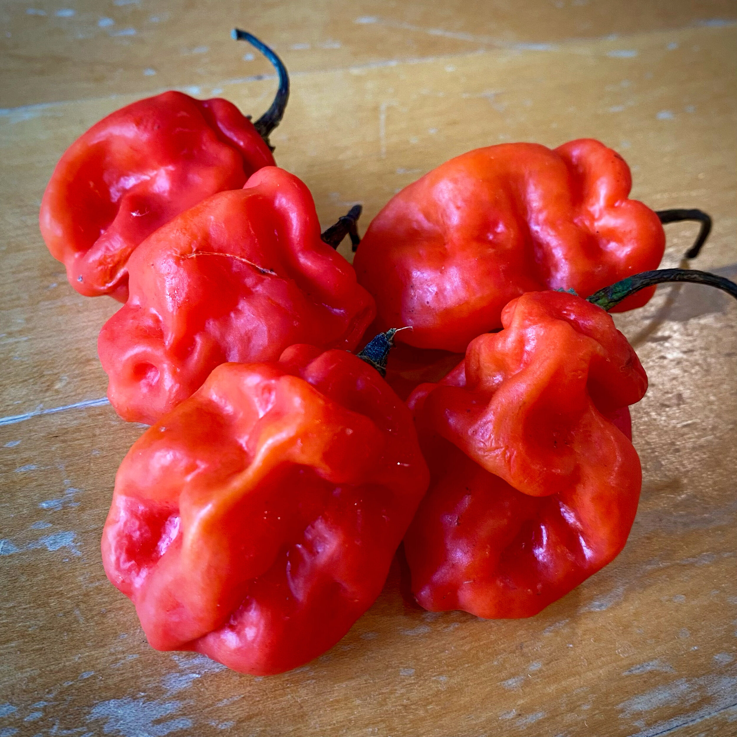 peppers.JPG