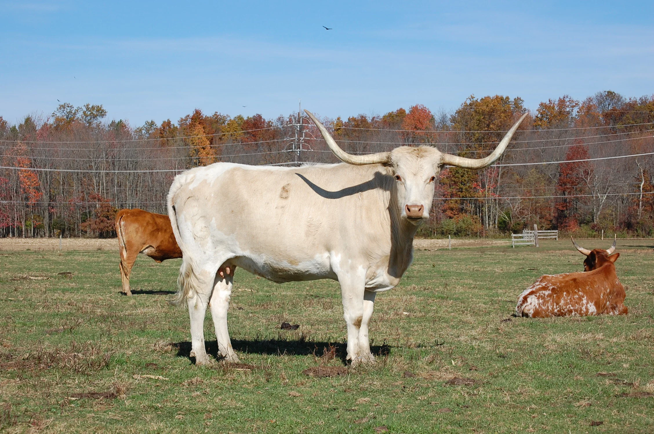 DSC_0162.JPG