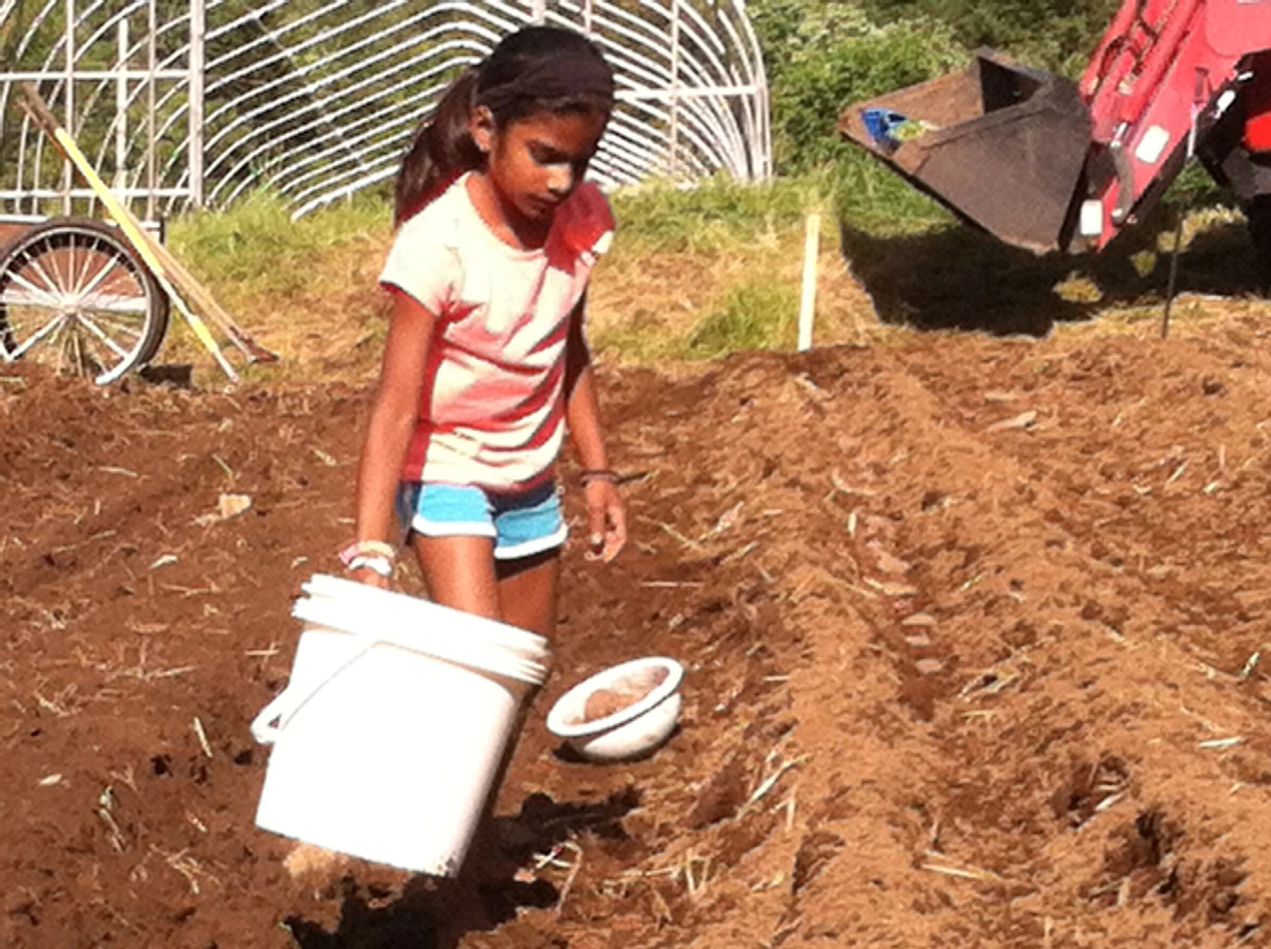 iphone_ESD pics 002.JPG