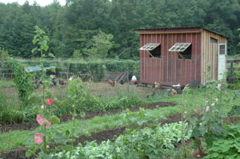 chicken coop.jpeg