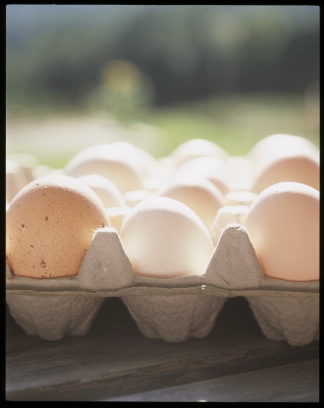 eggs.jpg