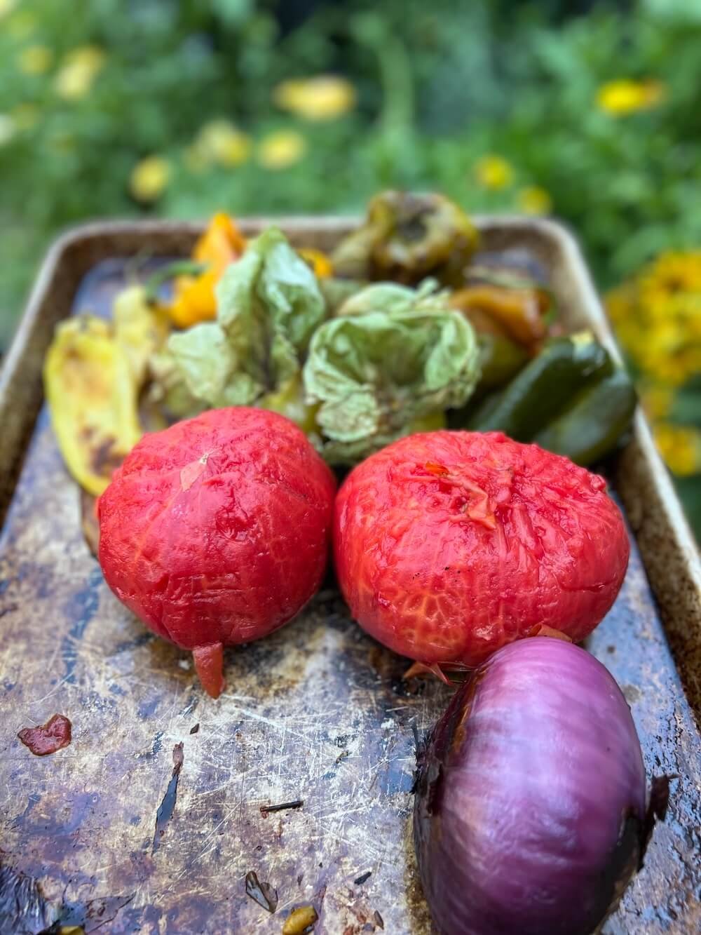 Close-up of a tray of roasted vegetables including tomatoes, eggplant, and various peppers, set outdoors with a green garden background.