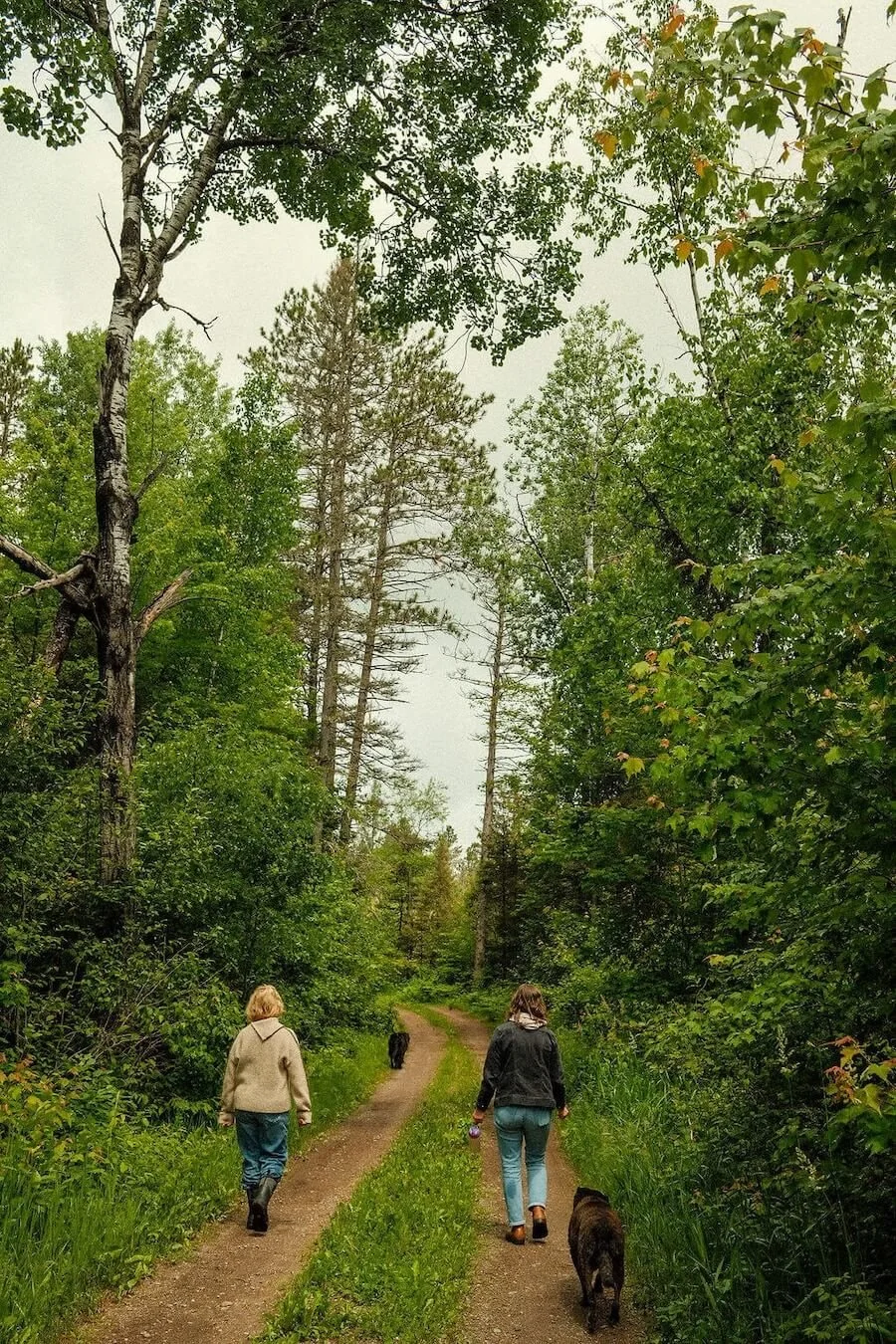 Two women walking on a dirt trail through a green forest with two dogs.
