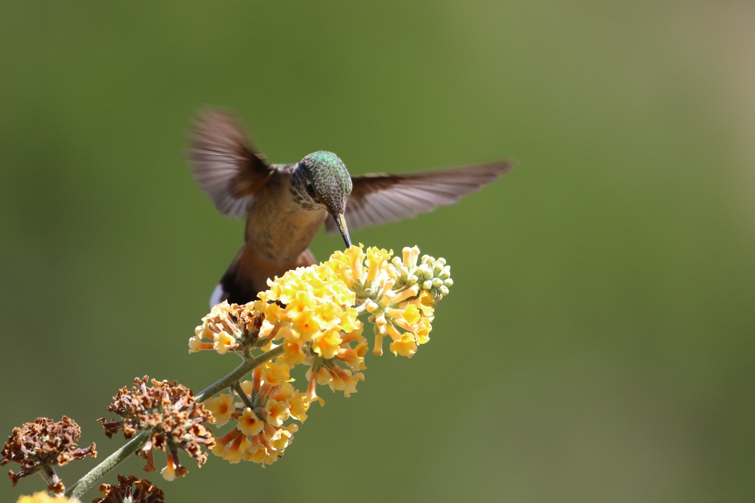 Photo by John Duncan