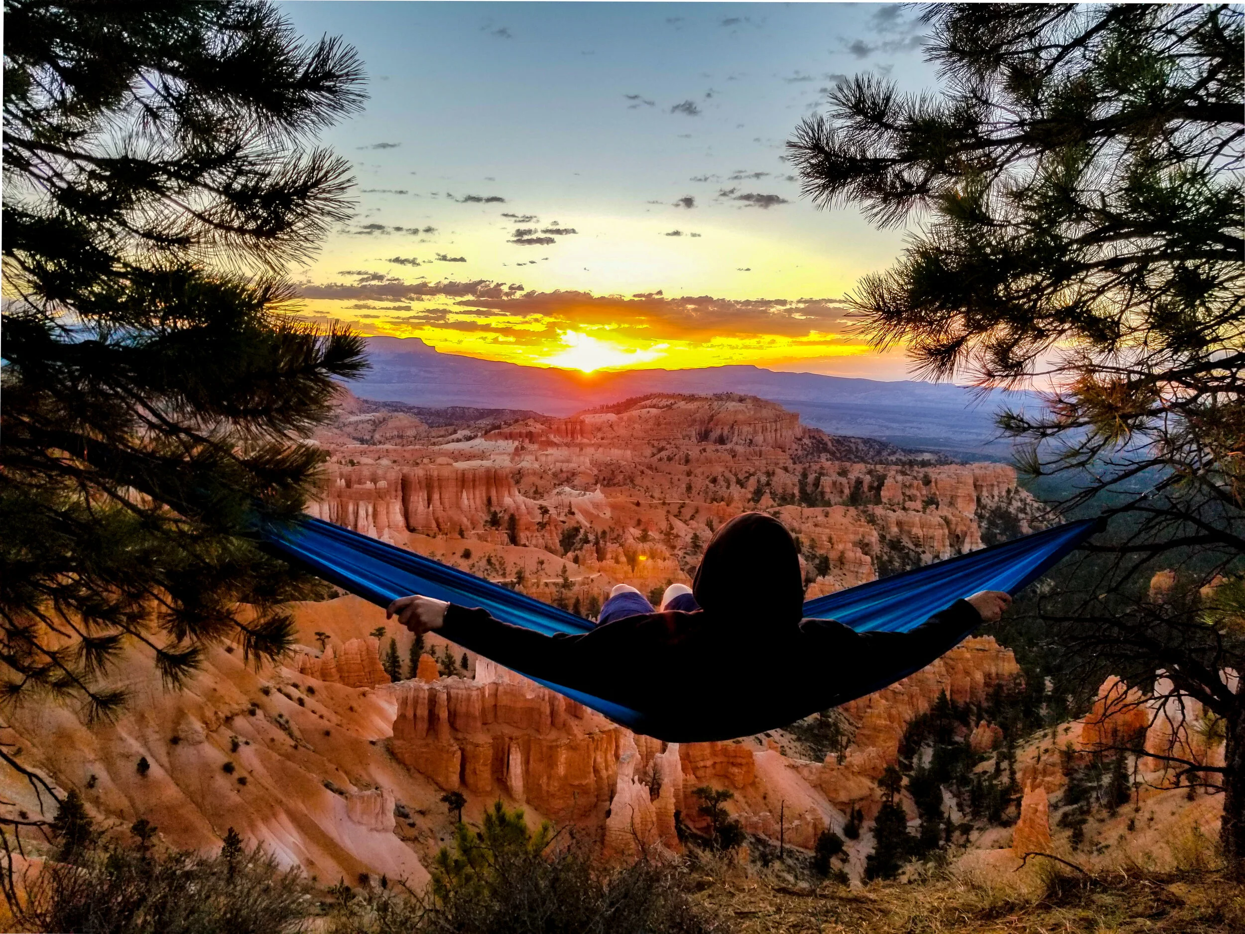 HammockSunriseBryce.jpg