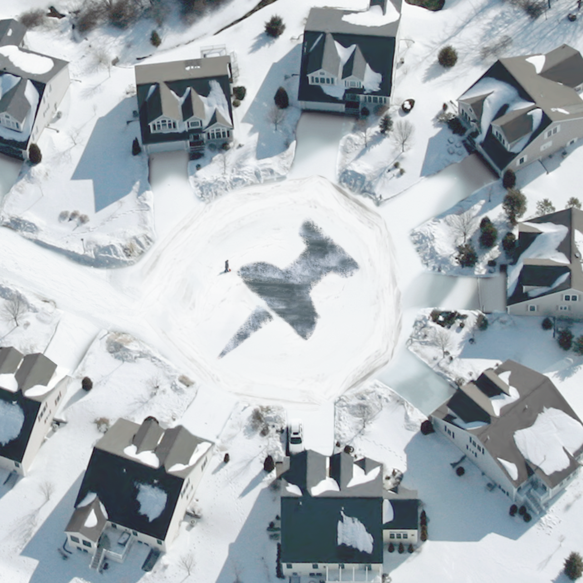 INSTAGRAM_Snow Removal.png