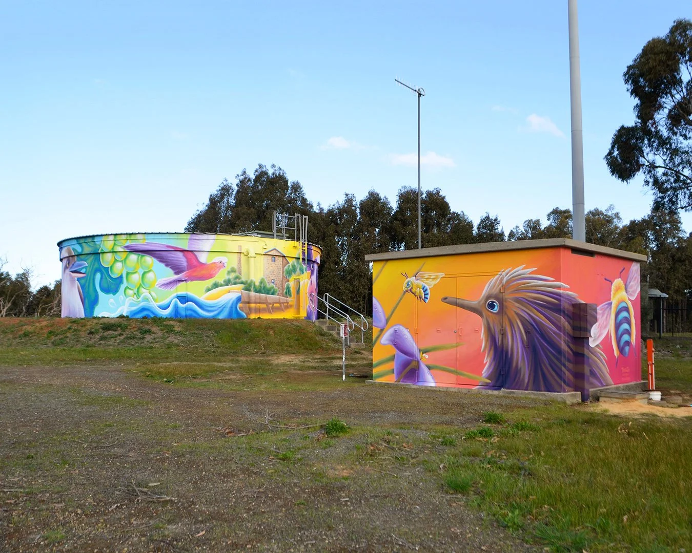 Creating meaningful murals across Australia