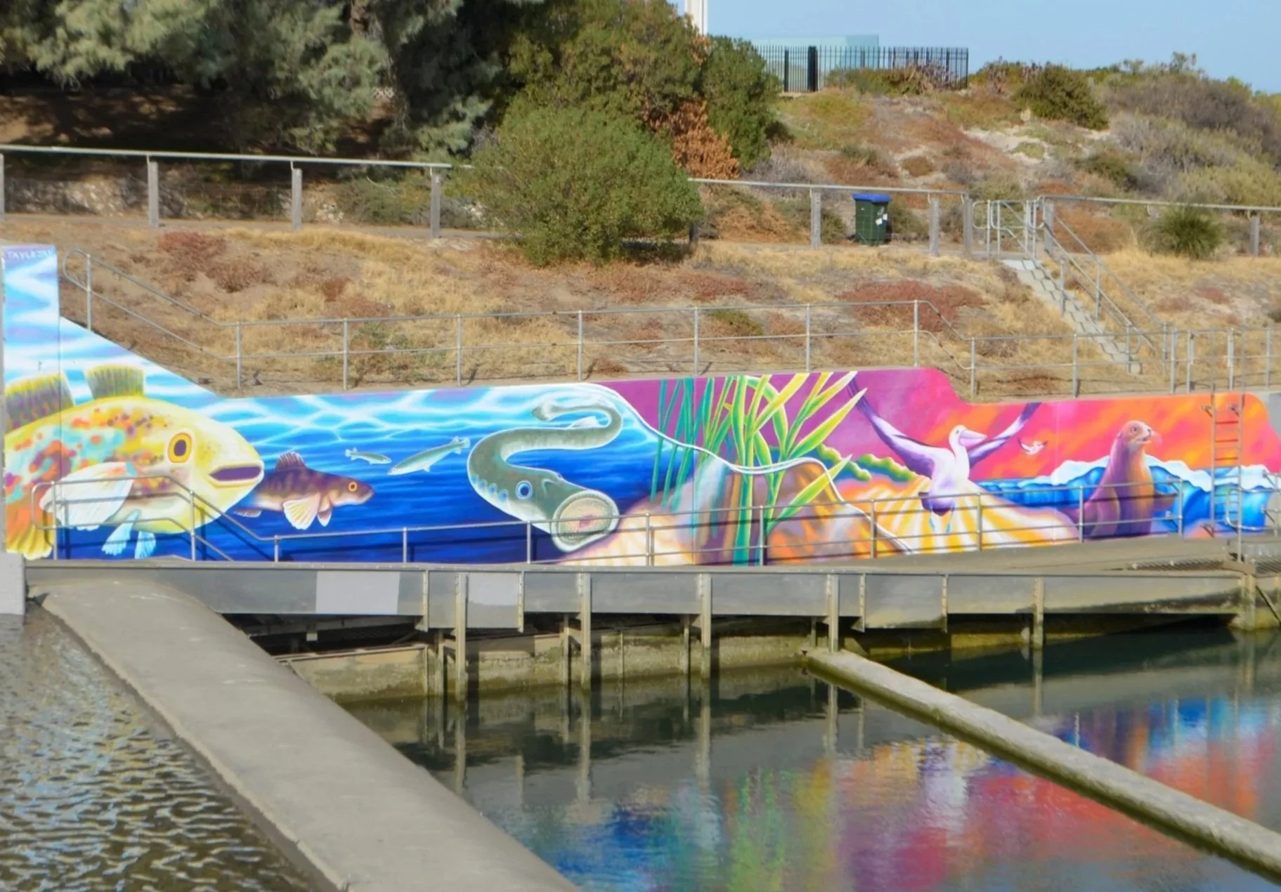 Torrens-River-Karrawirra-Parri-Outlet-TaylrJay-1.jpg