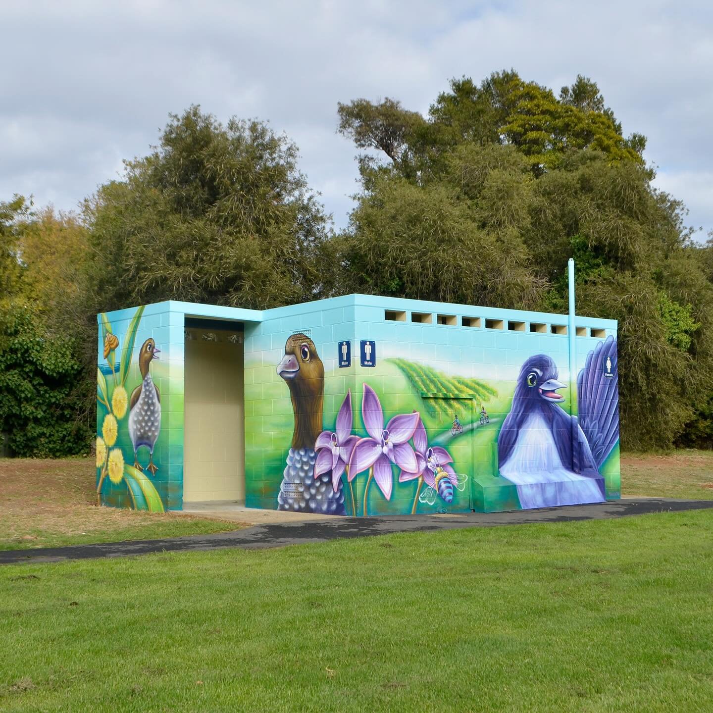 It was lovely to create this mural for the amenities block at Callander Park, Old Reynella thanks to the @cityofonkaparinga 

To complete the recently refreshed park, this mural celebrates local native birds, flowers and pollinators &ndash; inspired 