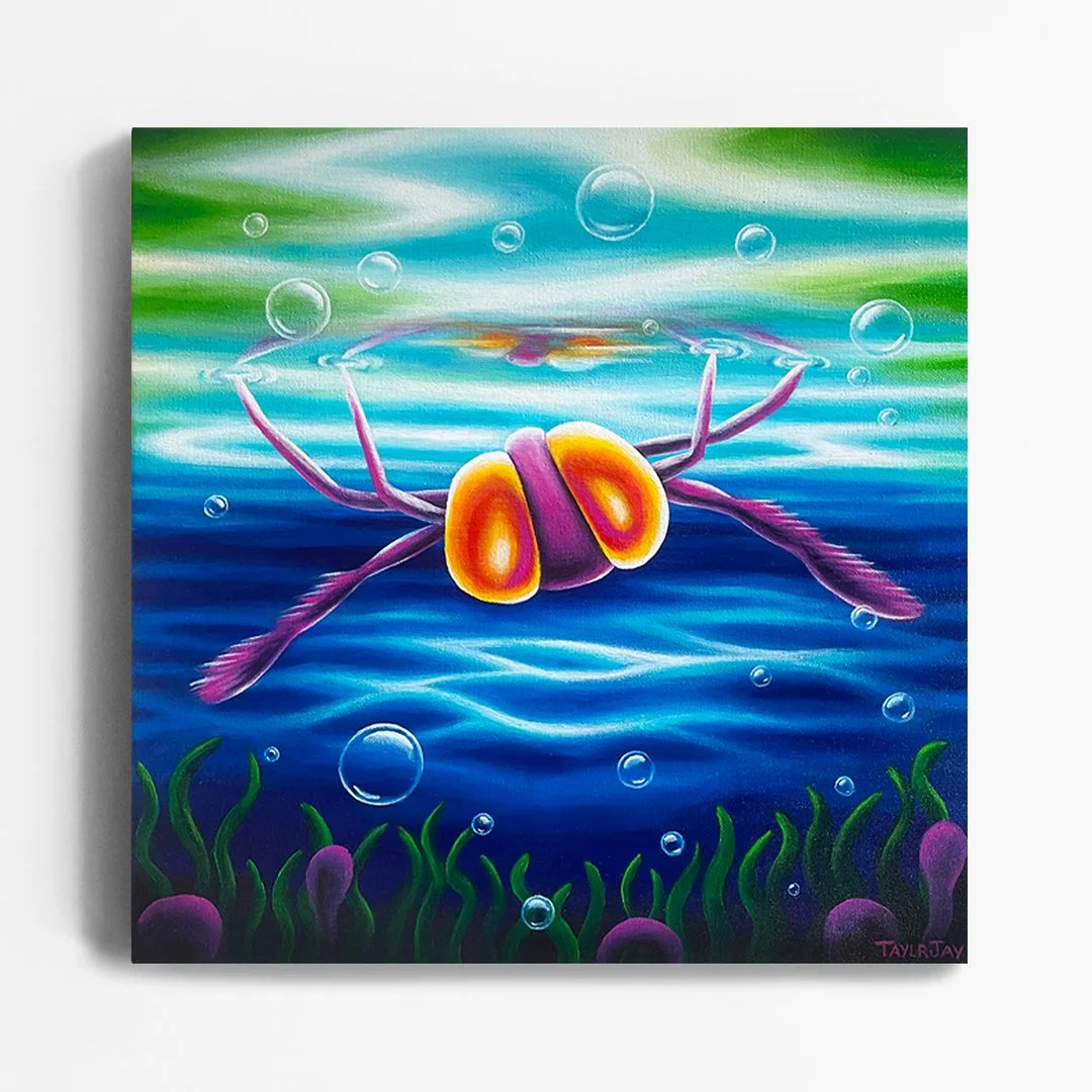 'Underwater Kaleidoscope'
This piece was commissioned by one of my gorgeous collectors and joins an assortment of bright artworks hanging on her wall!
It was fun to paint this vibrant Backswimmer and really push all the bright lighting and bubbles. 
