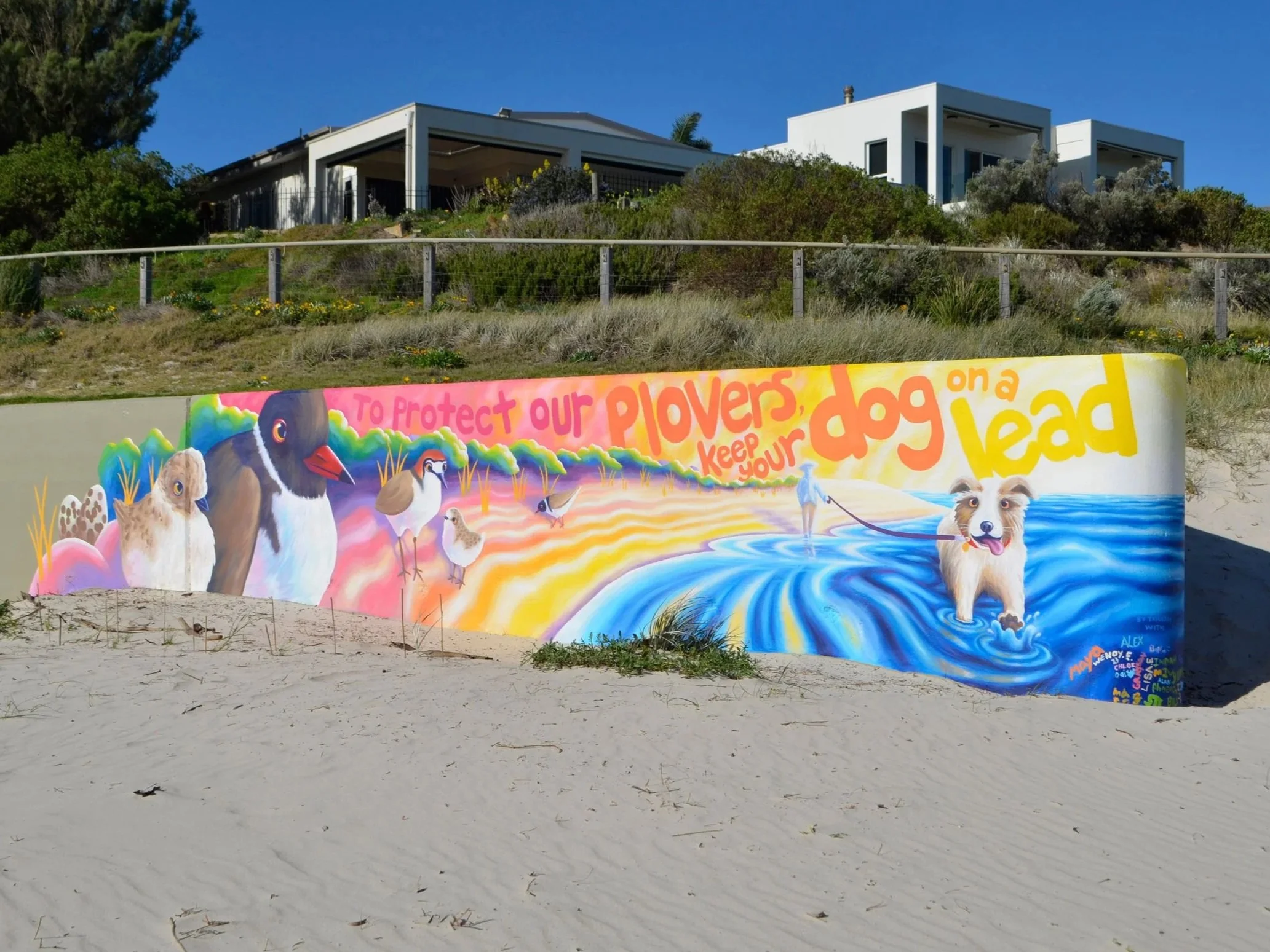 PloverMural_CharlesSturt_TaylrJay_2.jpg