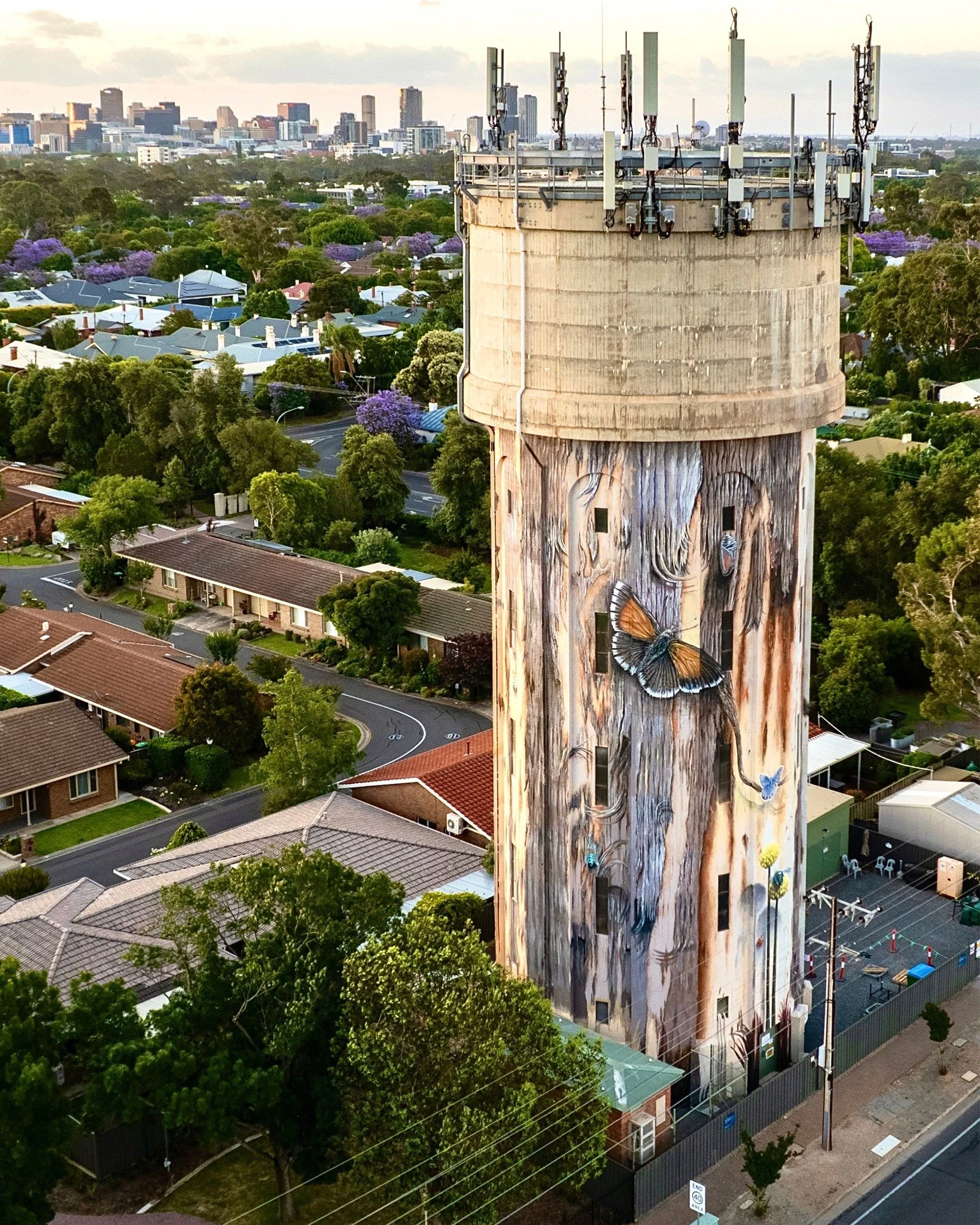 What an incredible project to be part of, and the largest artwork I've ever worked on!

Spanning 7 weeks and covering more than 900m&sup2;, the Glenside Water Tower was transformed into a vibrant tribute to the community's connection with nature. Led