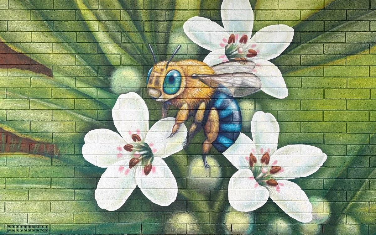This Blue-Banded Bee melts my heart! 💙 Now brightening the facade of the Kingston Soldiers' Memorial Hospital.