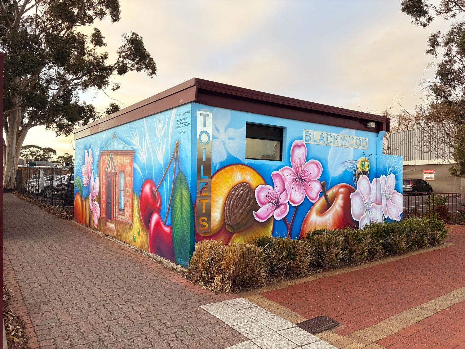 Creating meaningful murals across Australia