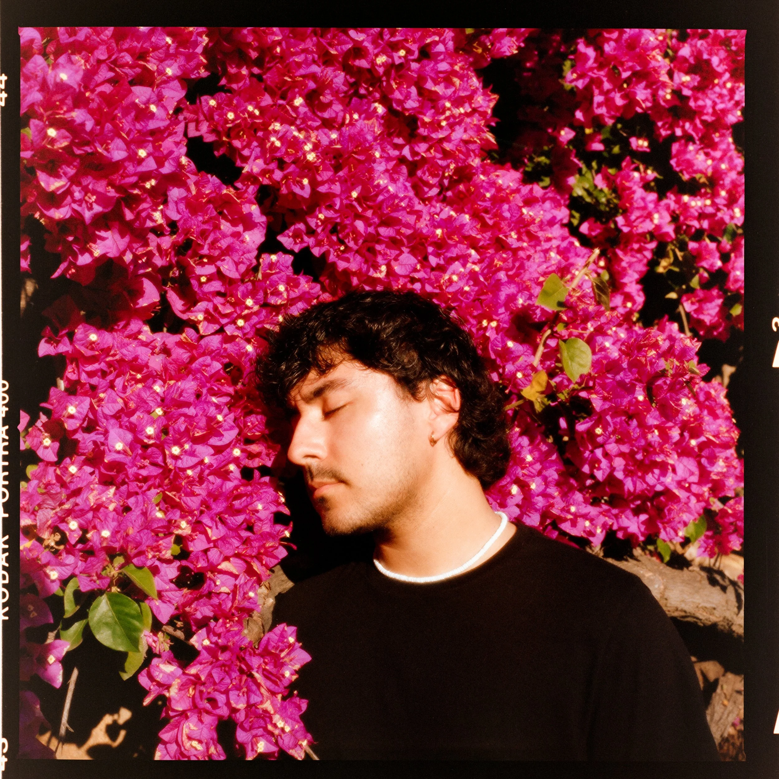 Portrait by Ismael Quintanilla III PORTRA 400211.jpg