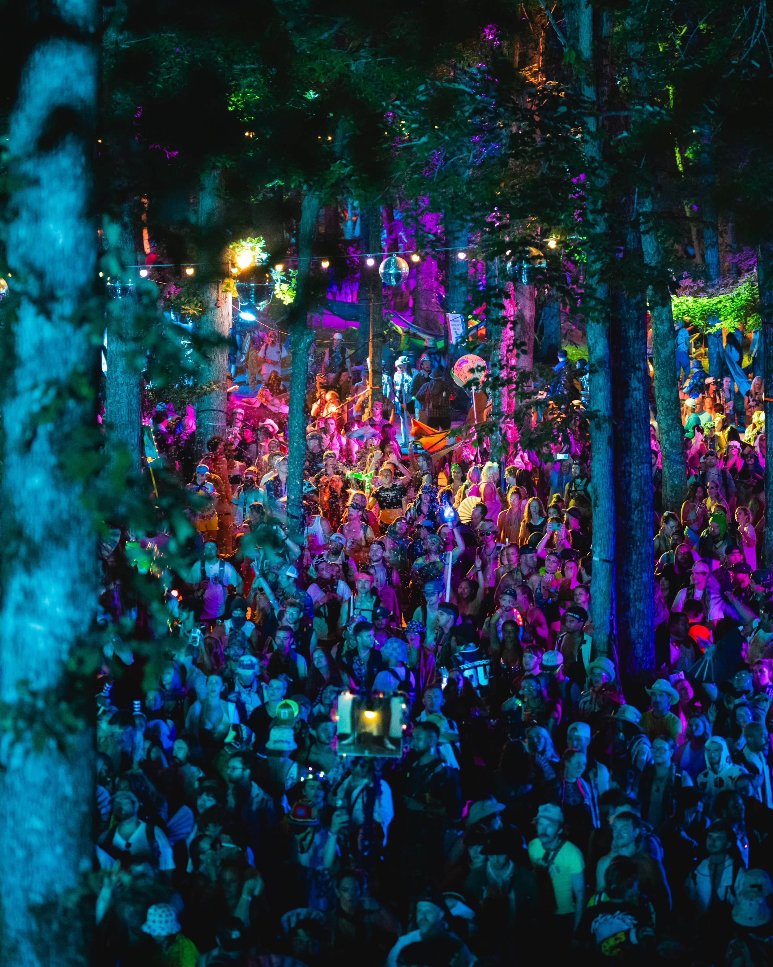 Live by Ismael Quintanilla III_IQ37922.jpg