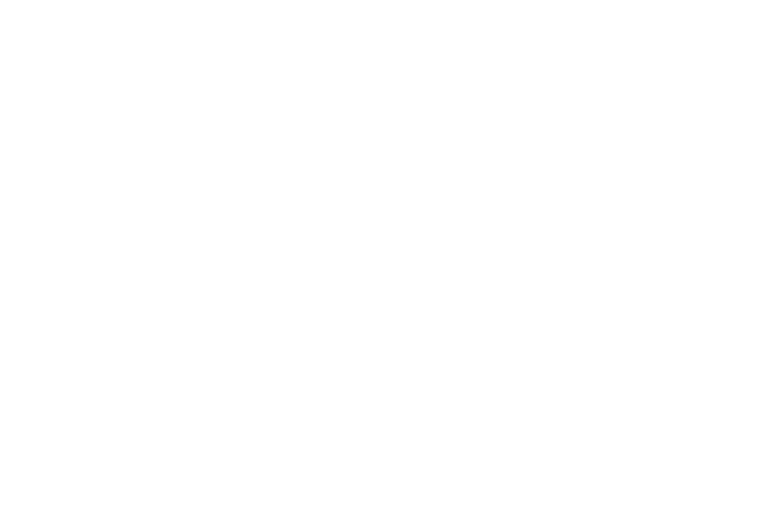 AMERICAS OCEAN WATCH