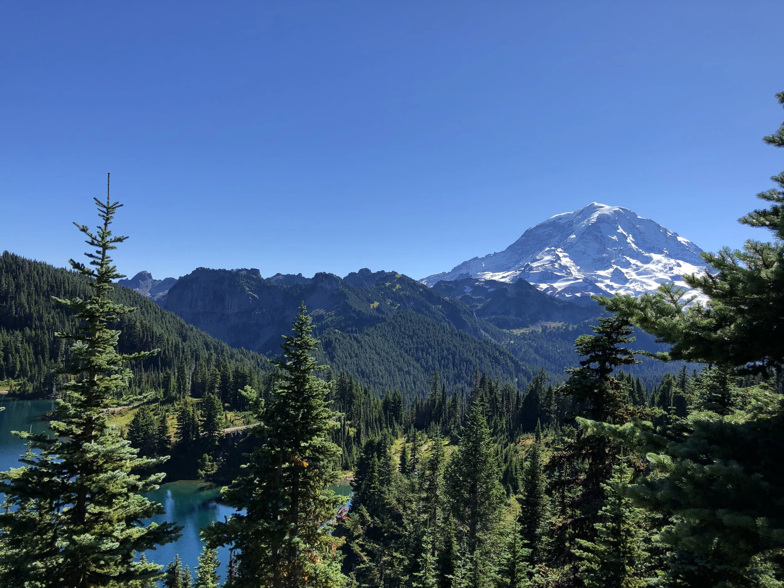 providers-sequim-medical-associates
