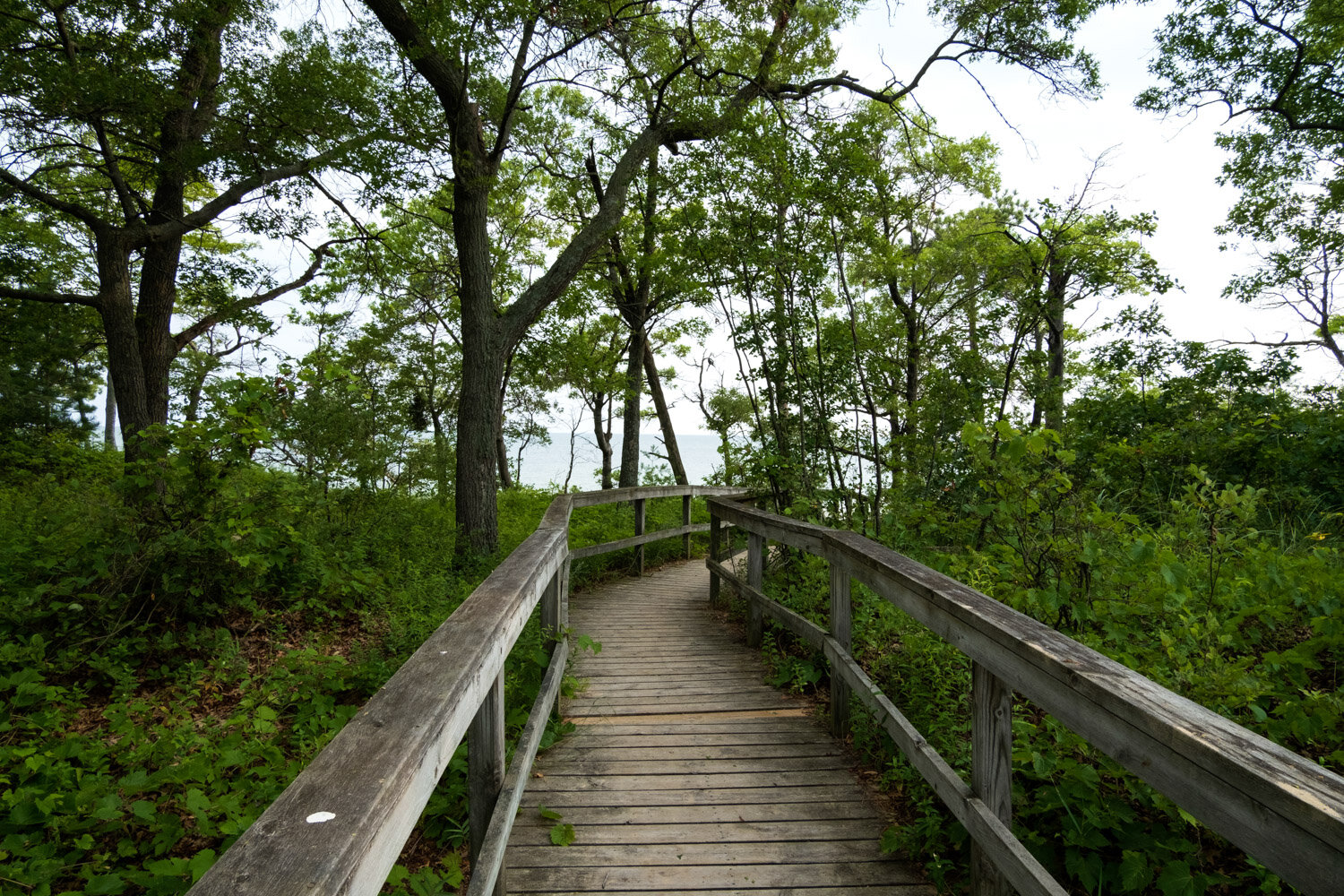 Albert E. Sleeper State Park — Mi Roadtrip