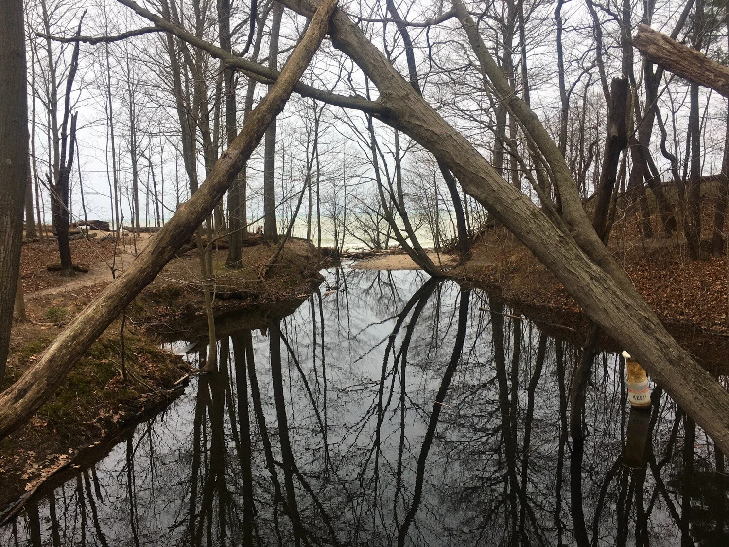 Pilgrim Haven Natural Area — Mi Roadtrip