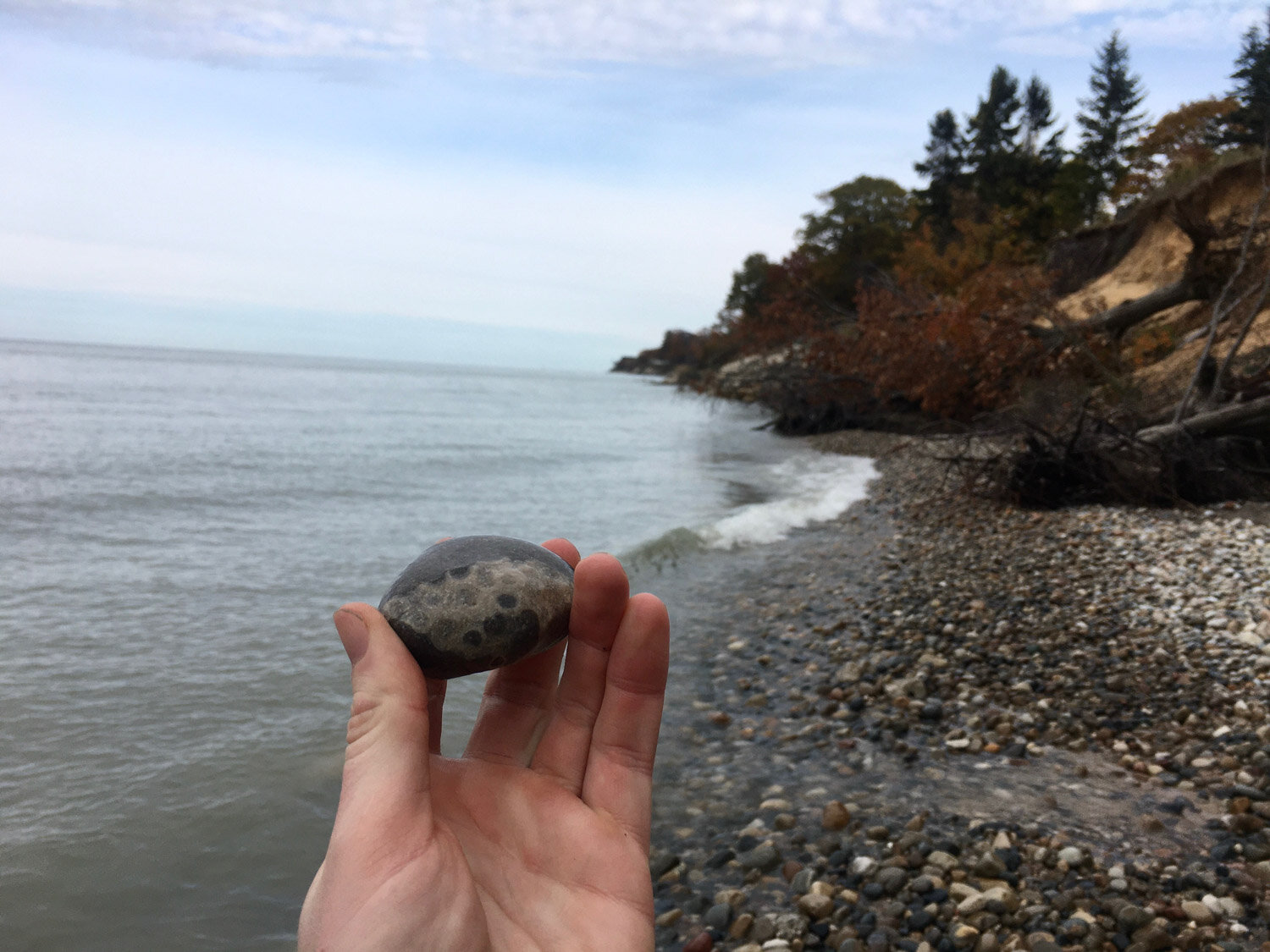 Rock & Fossil Hunting in Southwest Michigan