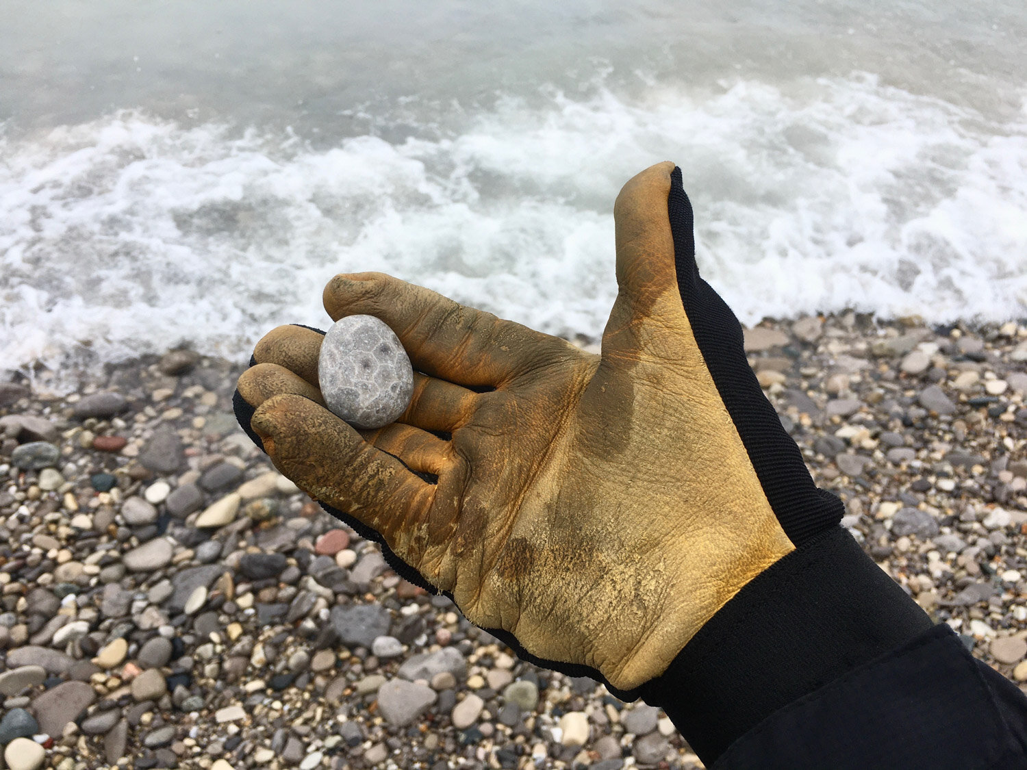 Rock & Fossil Hunting in Southwest Michigan