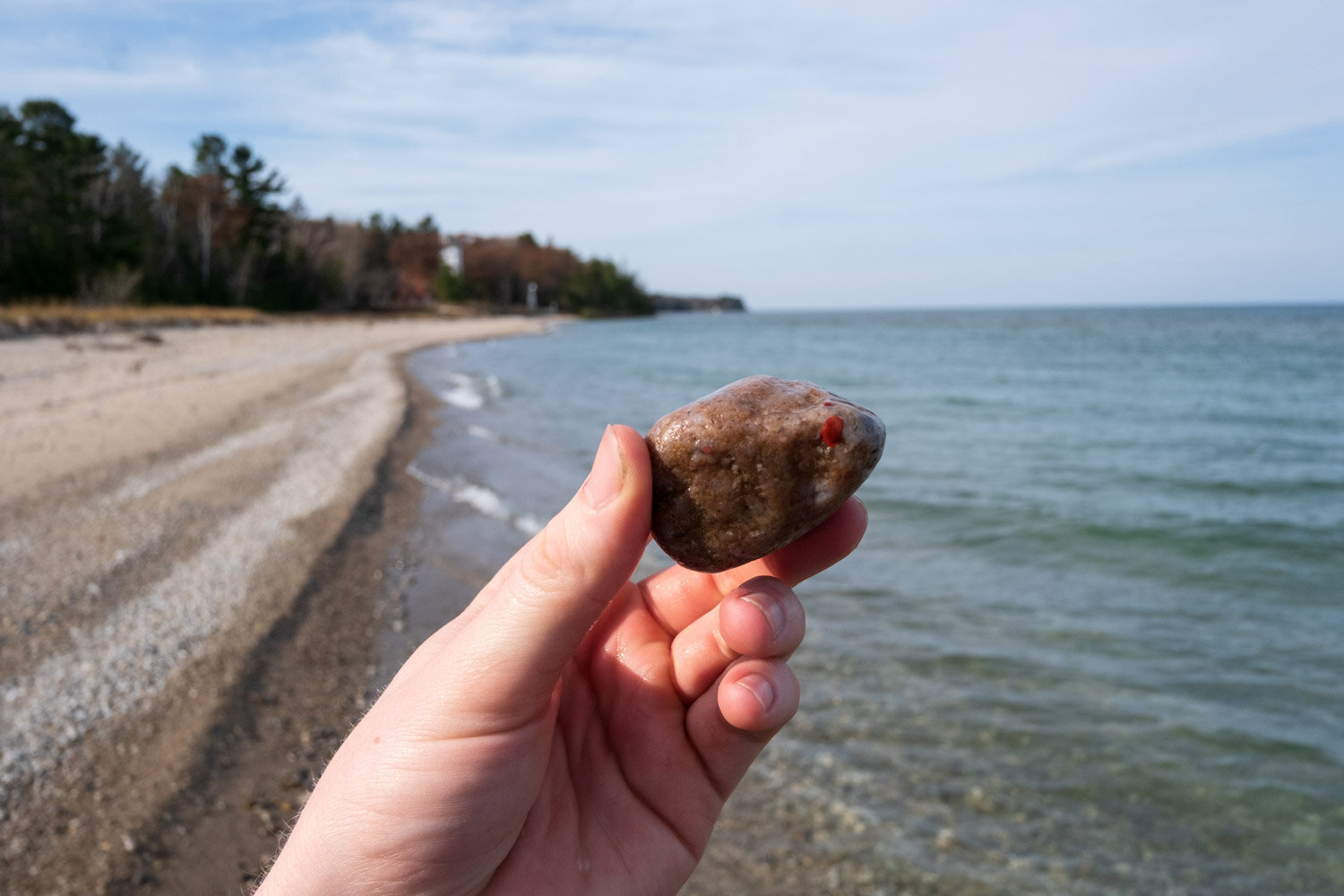 Rock & Fossil Hunting in Southwest Michigan
