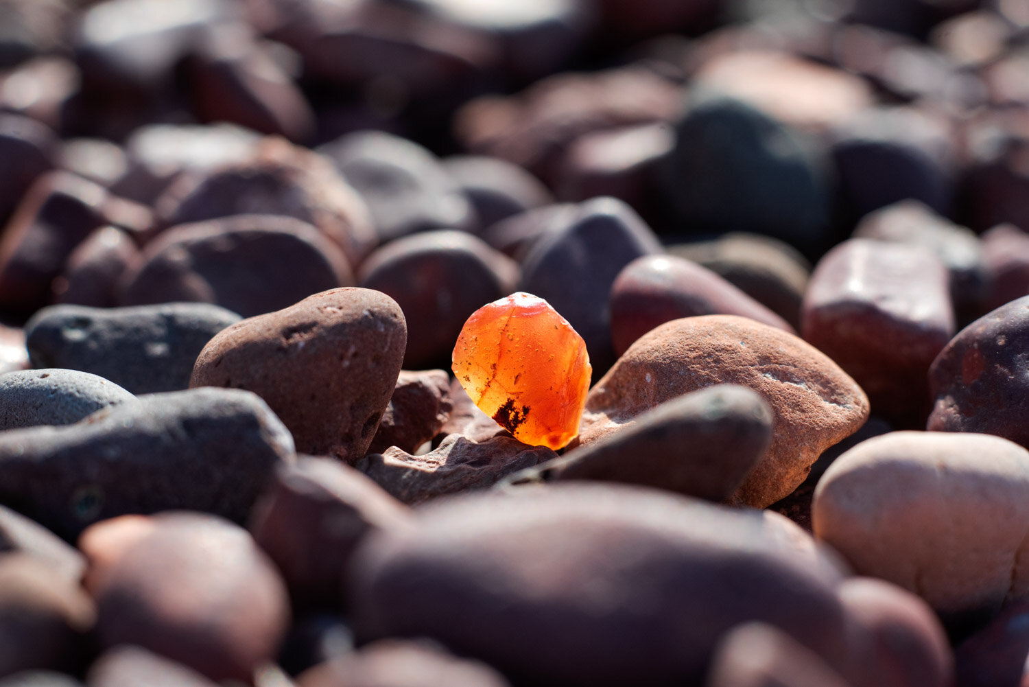 Rock Picking in the Keweenaw