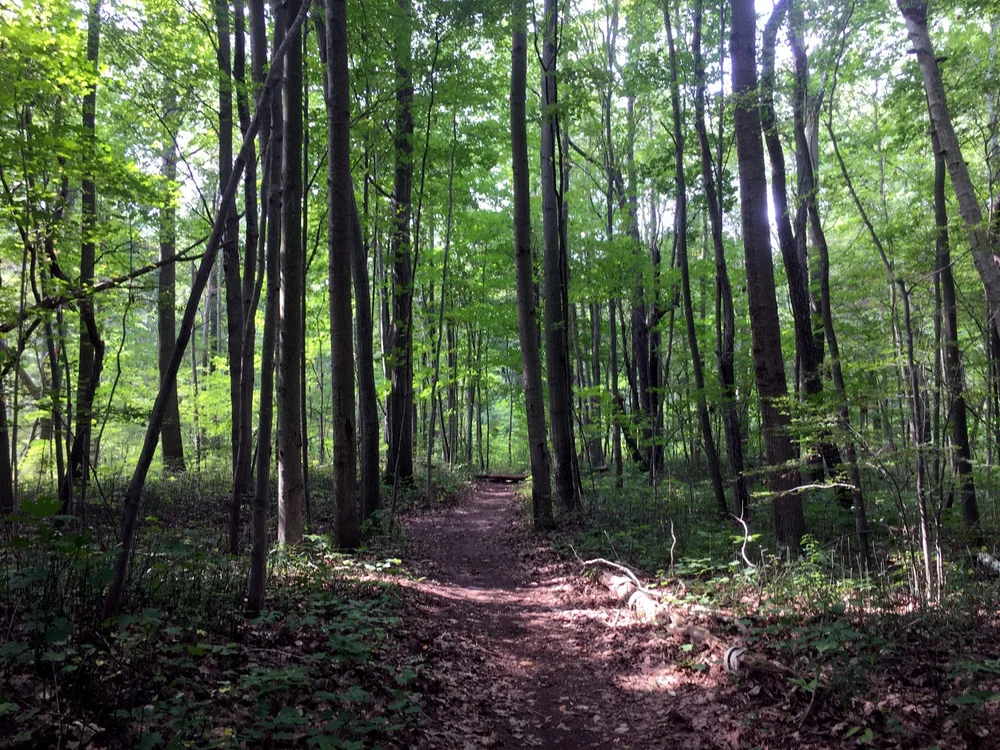 Lakeport State Park — Mi Roadtrip