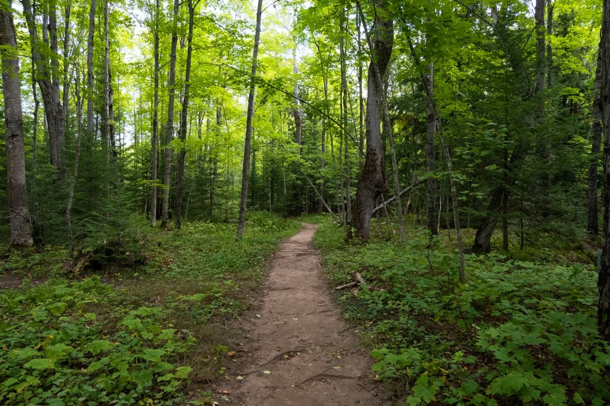 Yellow Dog River Falls — Mi Roadtrip