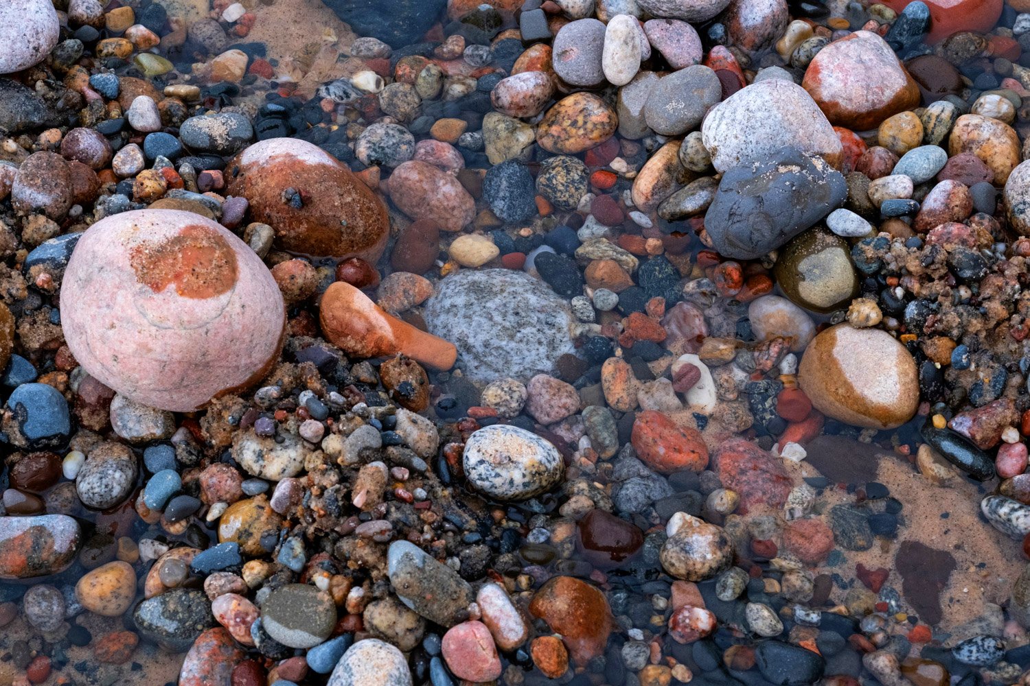 Rock & Fossil Hunting in Southwest Michigan