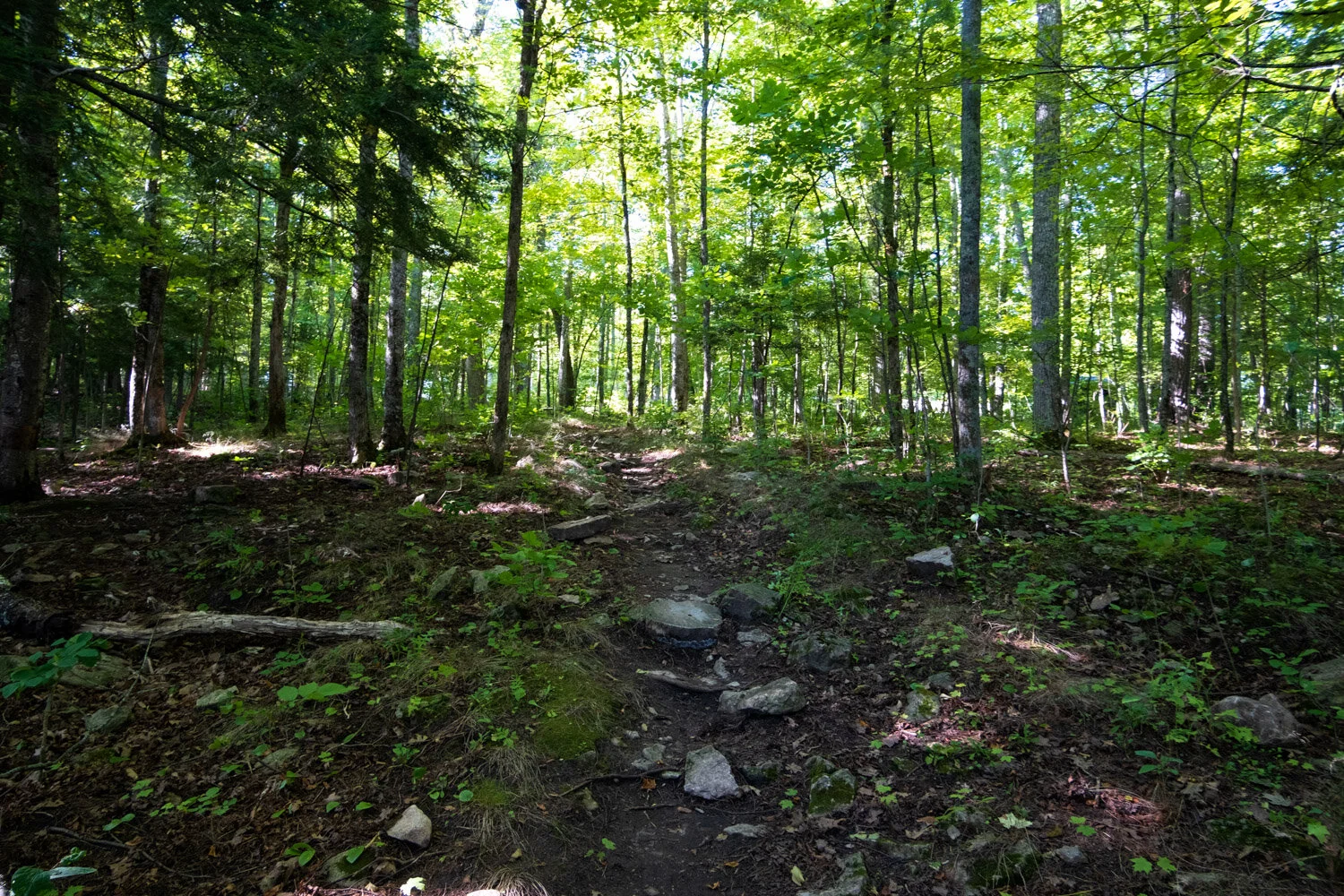 Onaway State Park — Mi Roadtrip