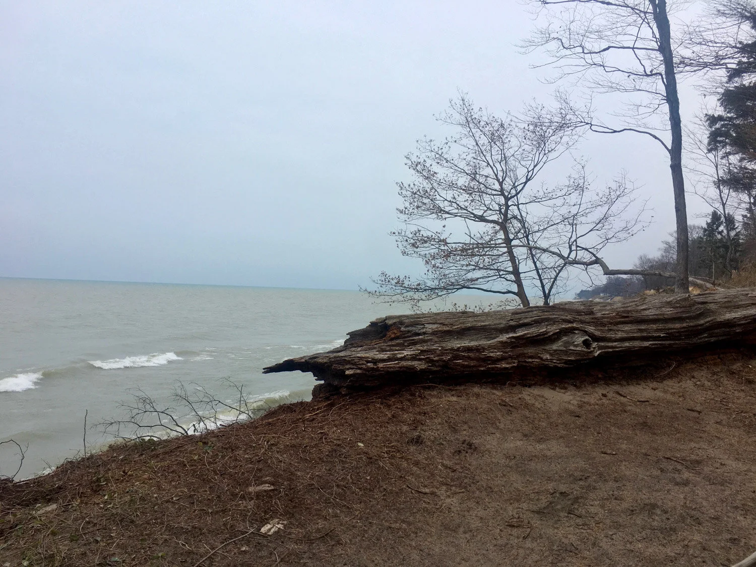 Pilgrim Haven Natural Area — Mi Roadtrip