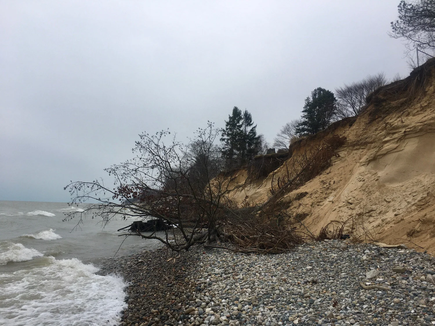 Pilgrim Haven Natural Area — Mi Roadtrip