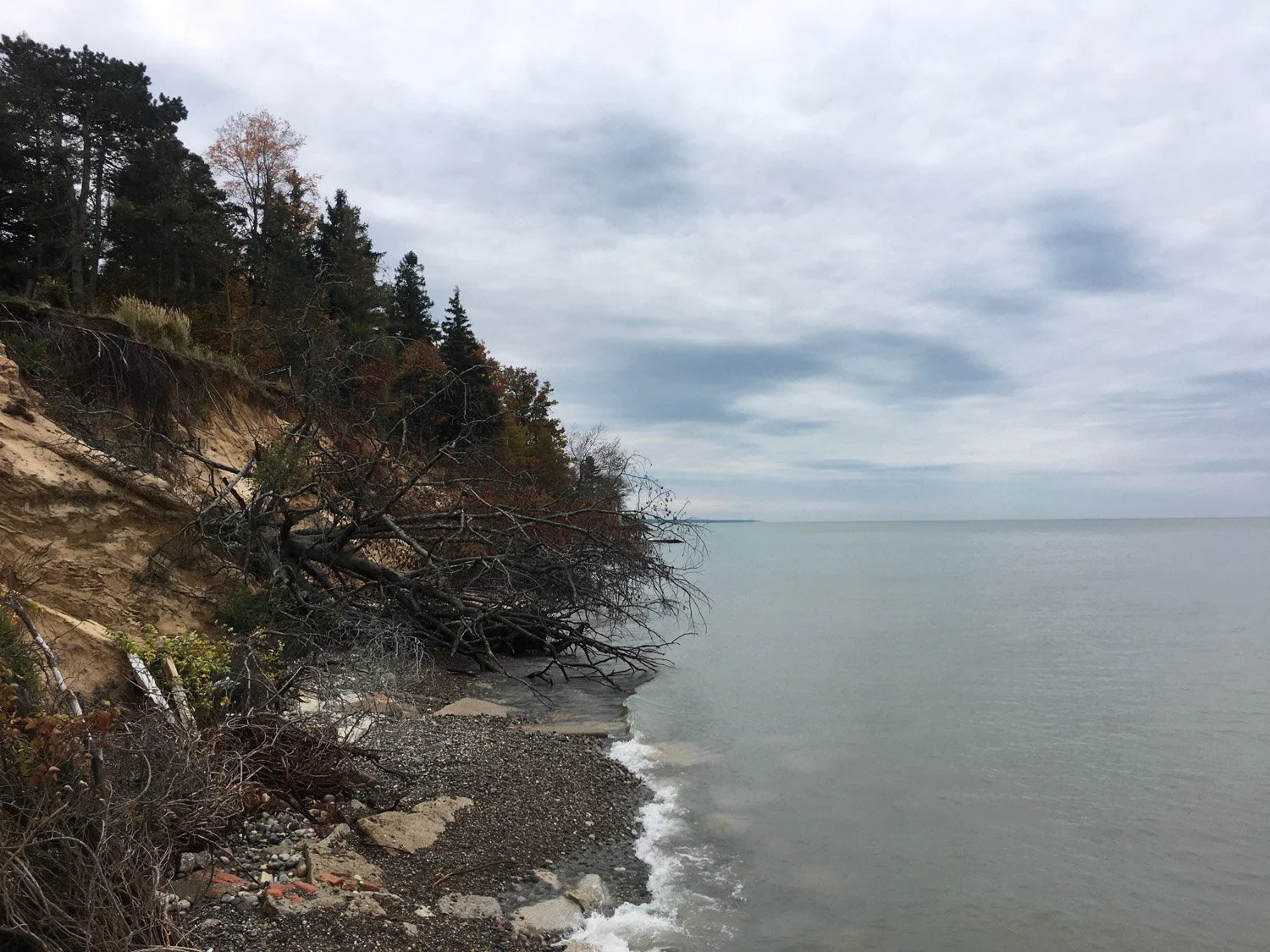 Pilgrim Haven Natural Area — Mi Roadtrip