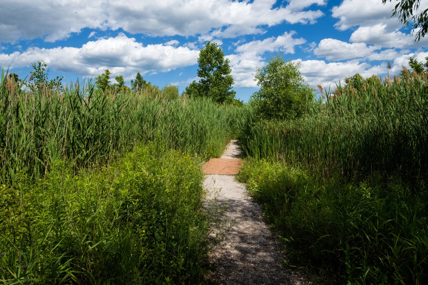 Milliken State Park — Mi Roadtrip