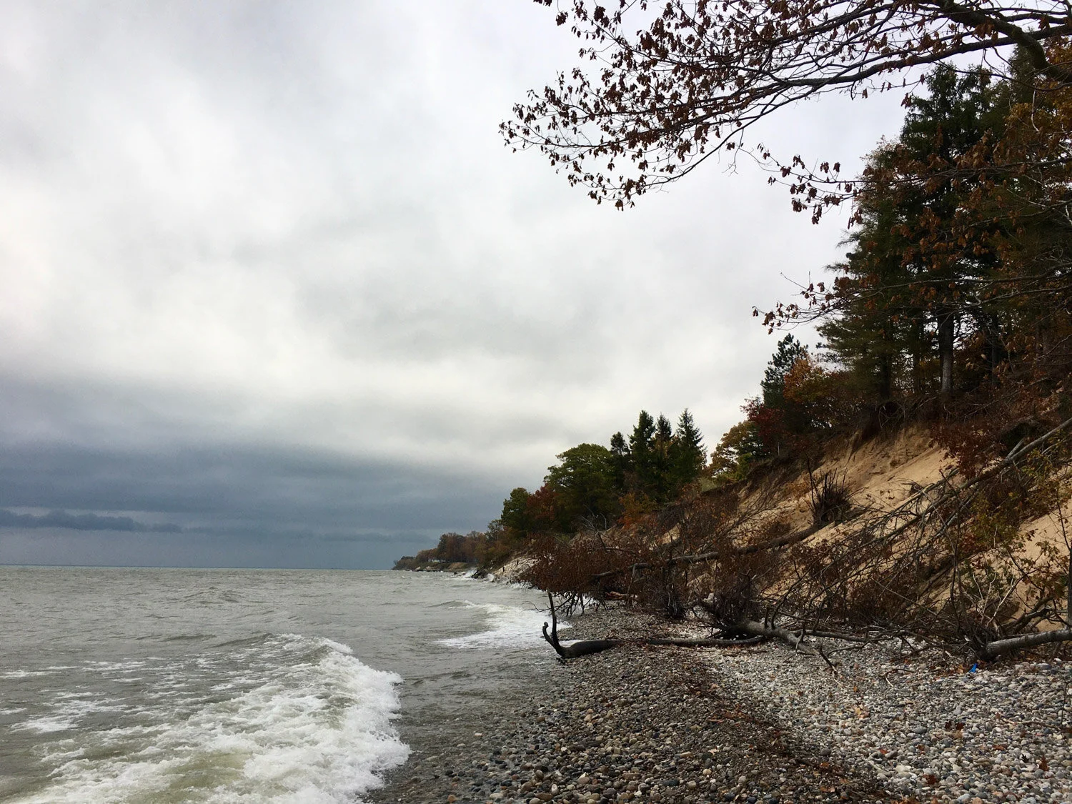 Pilgrim Haven Natural Area — Mi Roadtrip