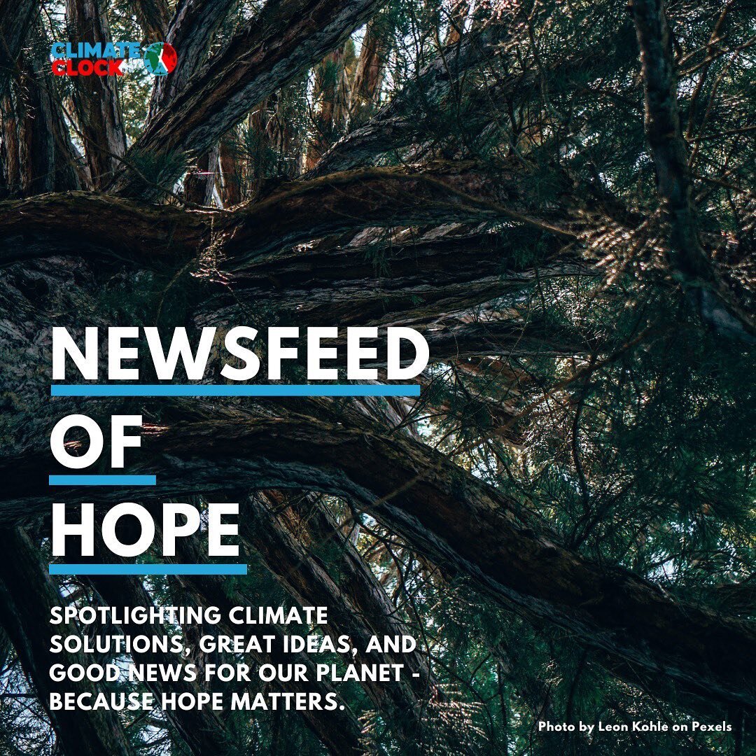 This next instalment of Newsfeed of Hope includes: new climate research initiatives, uninsurable coal projects, and more!

Have you got some hopeful climate stories you&rsquo;ve come across recently? If so, we&rsquo;d love to hear them in the comment