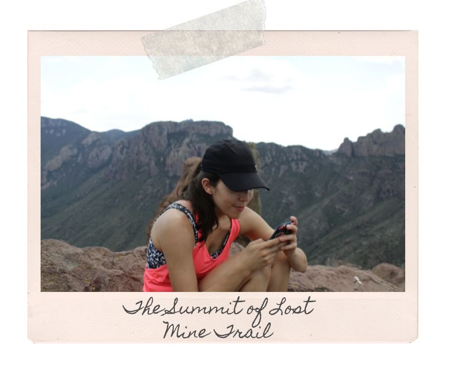 the summit of lost mine trail in big bend