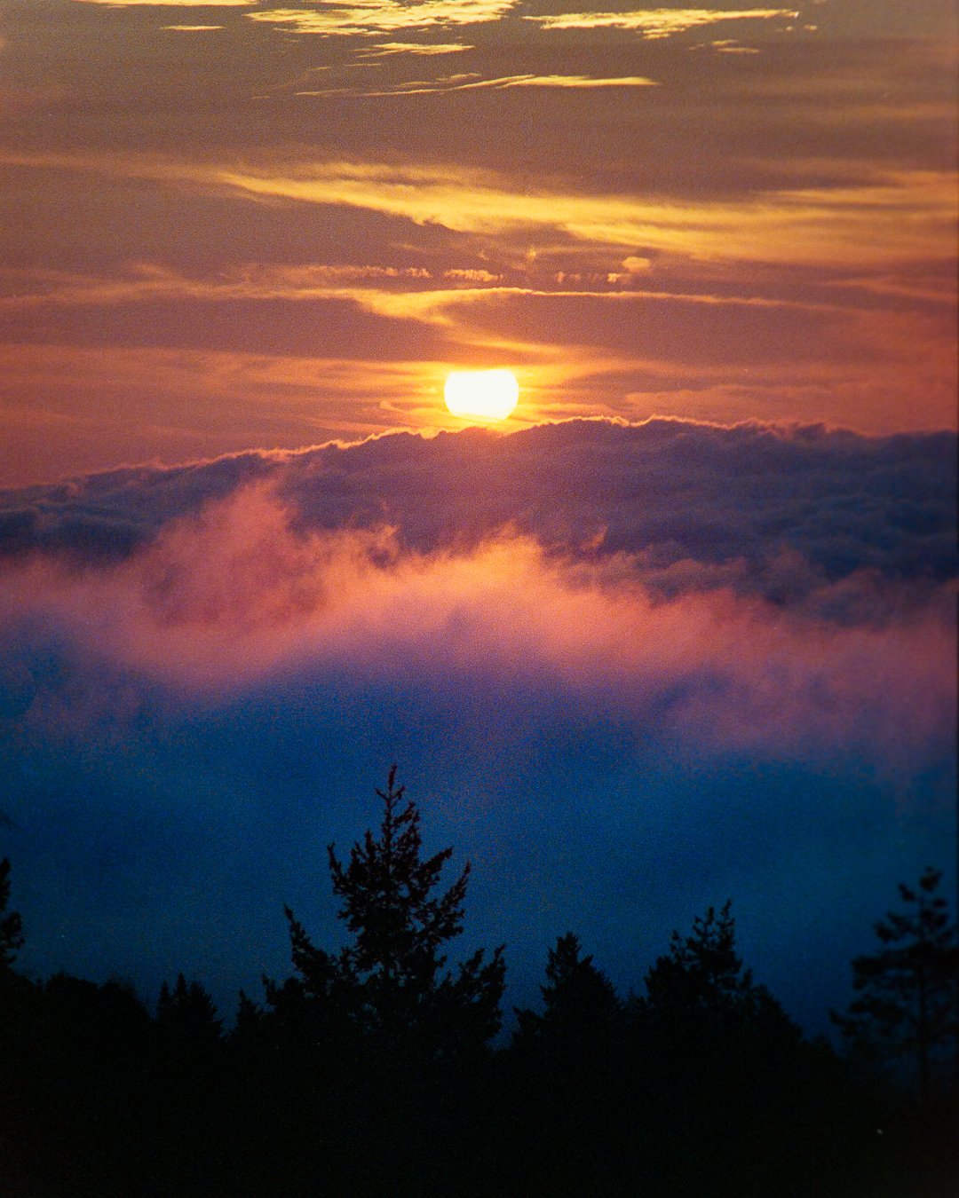 Personal work film photographer Minneapolis VTN Photo