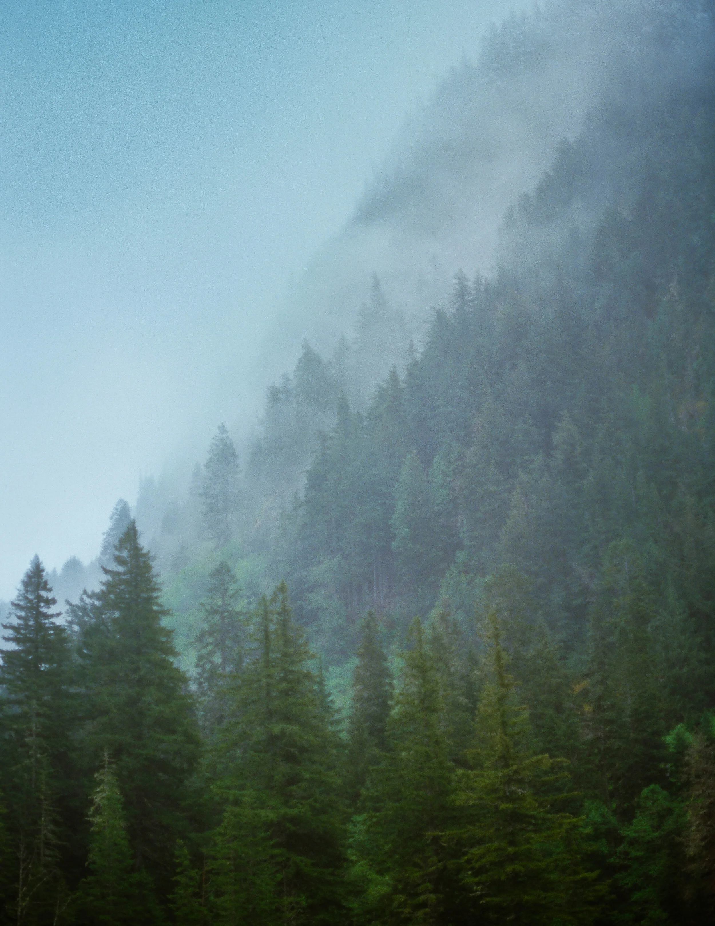 Film photography personal work Minneapolis VTN Photo