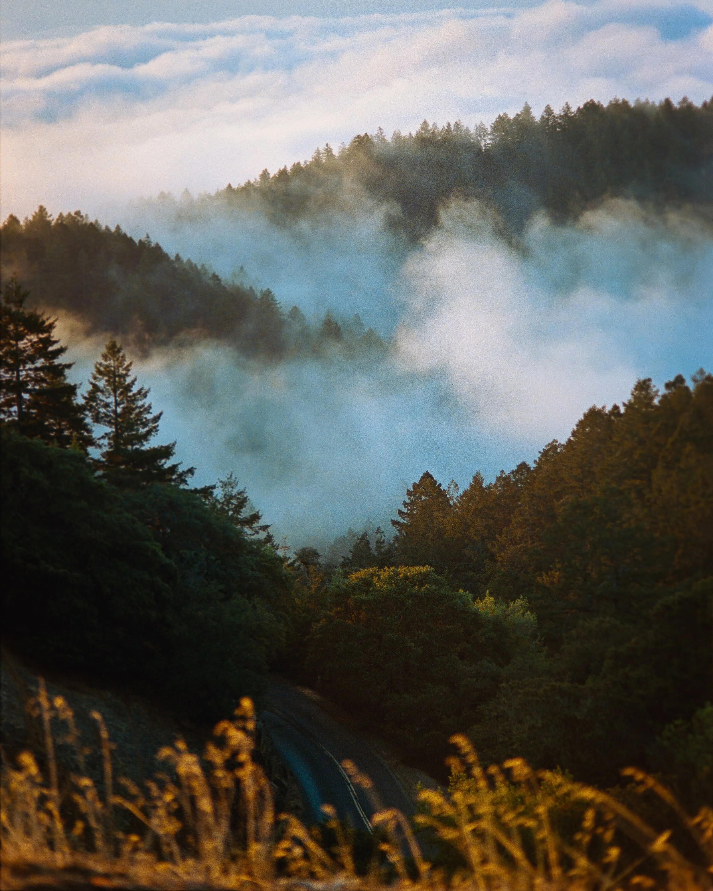 Film photography Minneapolis personal project VTN Photo