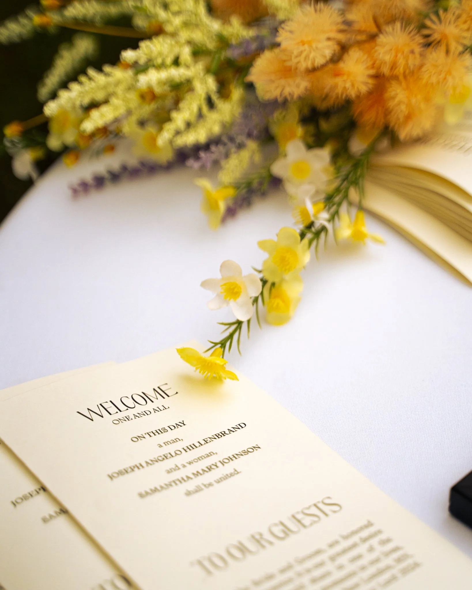 Wedding portrait photography Minneapolis VTN Photo